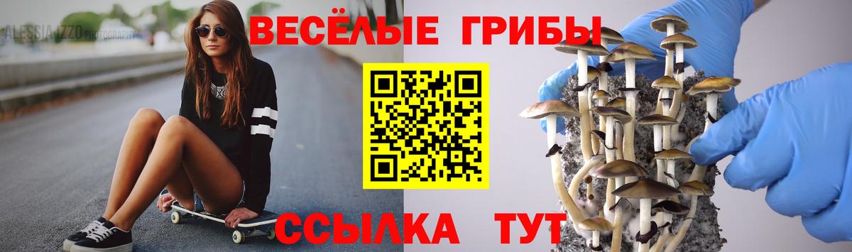 даркнет сайт  Галлюциногенные грибы Psilocybe  Вход с VPN  Вятские Поляны 